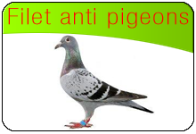 filet anti pigeon